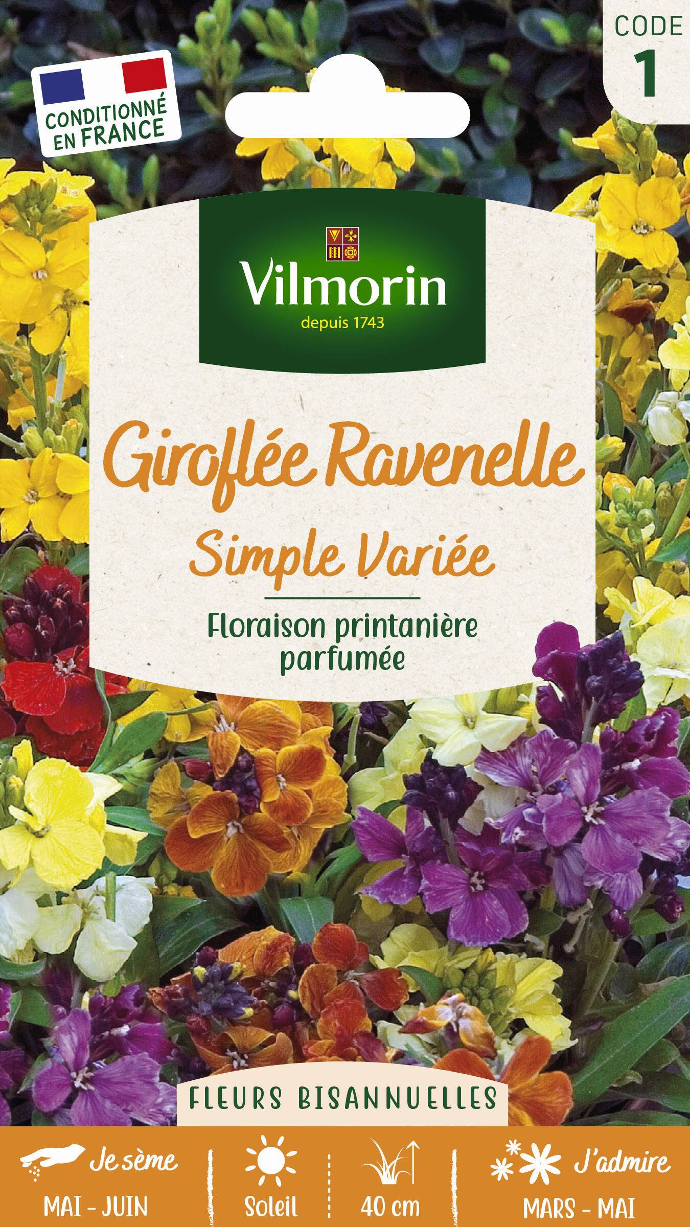Vilmorin - Giroflée ravenelle simple variée série 1 sachet graines 1,5 g - Vilmorin - Image 8