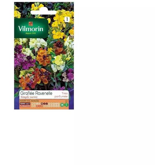 Vilmorin - Giroflée ravenelle simple variée série 1 sachet graines 1,5 g - Vilmorin - Image 4
