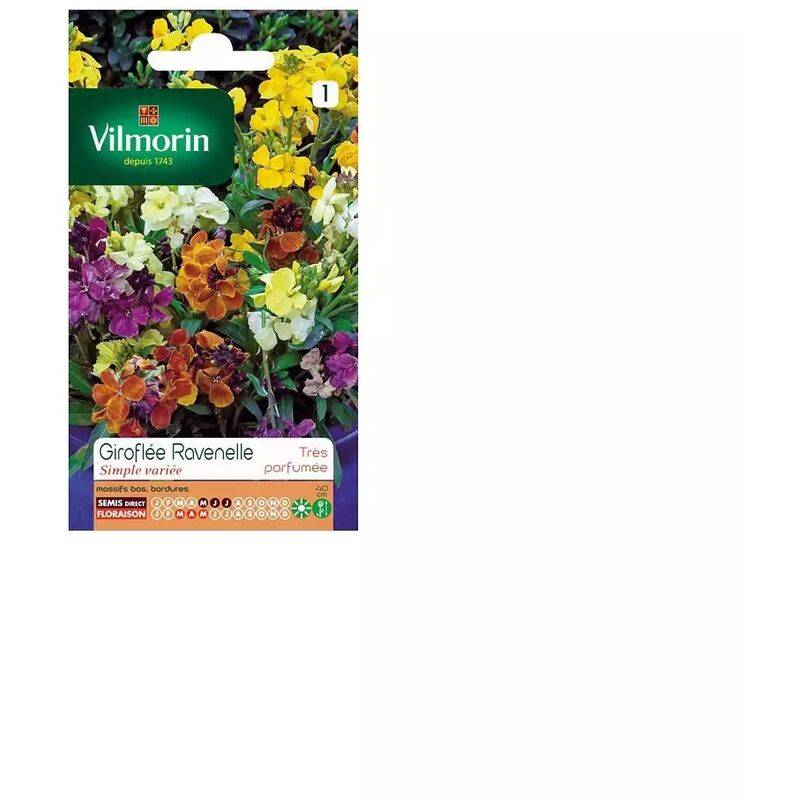 Vilmorin - Giroflée ravenelle simple variée série 1 sachet graines 1,5 g - Vilmorin - Image 4