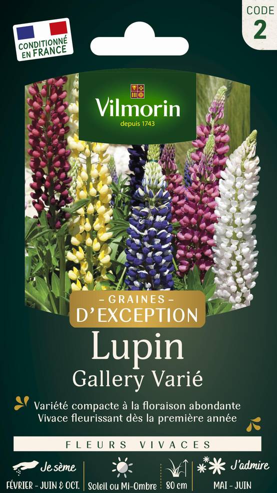 Vilmorin - Lupin gallery série 2 sachet graines 1,5 g - Vilmorin - Image 1