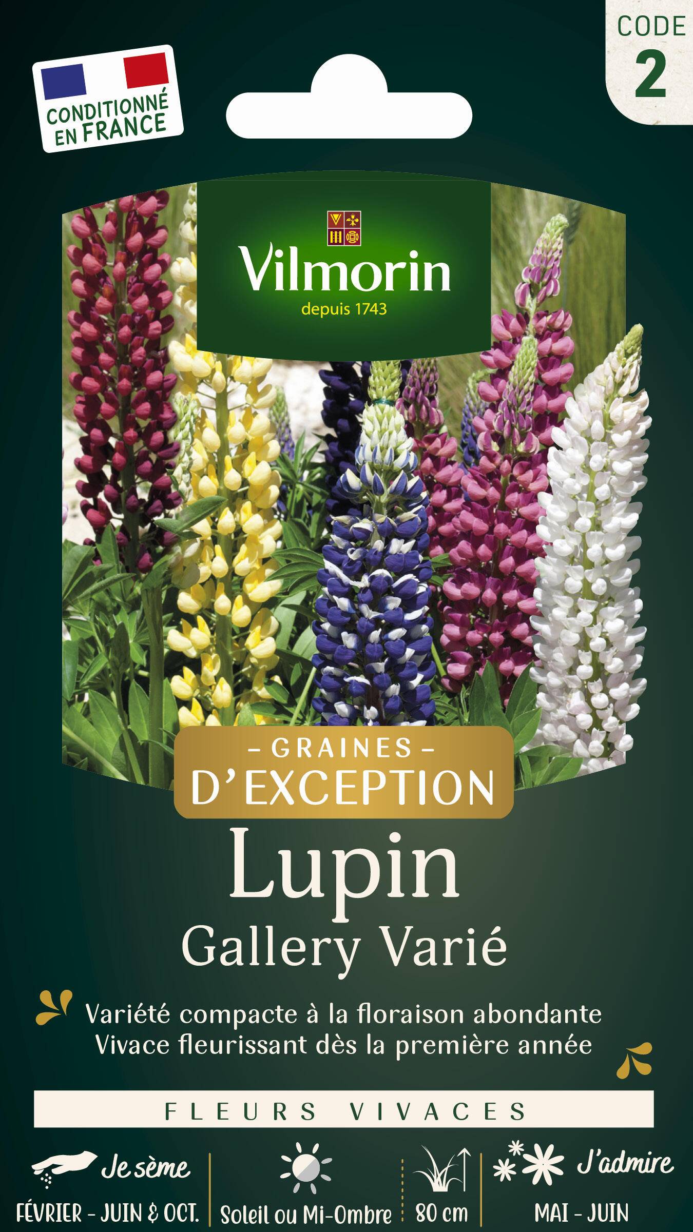 Vilmorin - Lupin gallery série 2 sachet graines 1,5 g - Vilmorin - Image 1