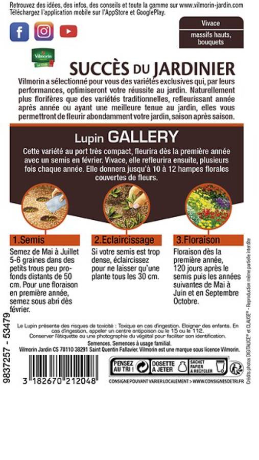 Vilmorin - Lupin gallery série 2 sachet graines 1,5 g - Vilmorin - Image 3