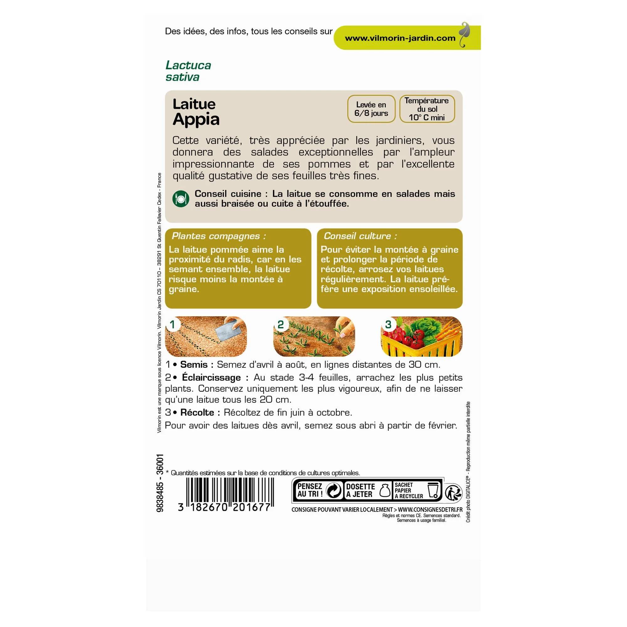 Vilmorin - Laitue pommée Appia série 2 sachet graines 3 g - Vilmorin - Image 4