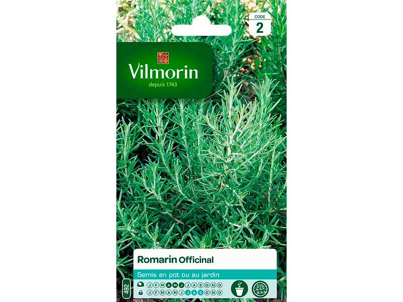 Graines de Romarin officinal 1 g – VILMORIN - Image 2