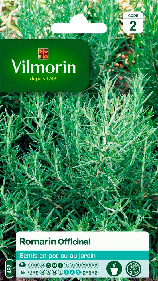 Graines de Romarin officinal 1 g – VILMORIN - Image 1