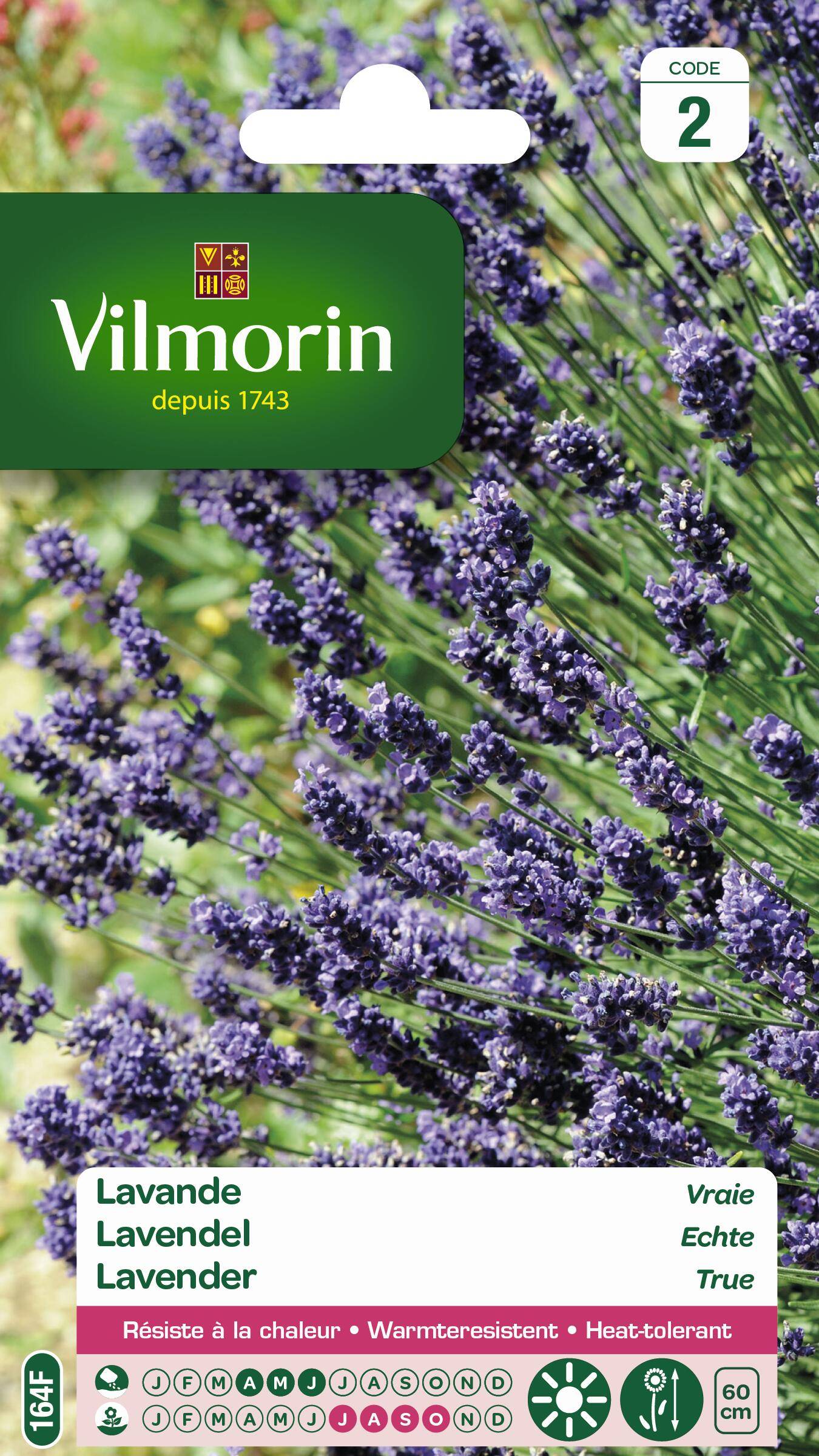 Vilmorin - Lavande Vraie serie 2 sachet graines 1,5 g - Vilmorin - Image 8