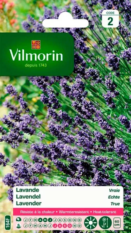 Vilmorin - Lavande Vraie serie 2 sachet graines 1,5 g - Vilmorin - Image 2
