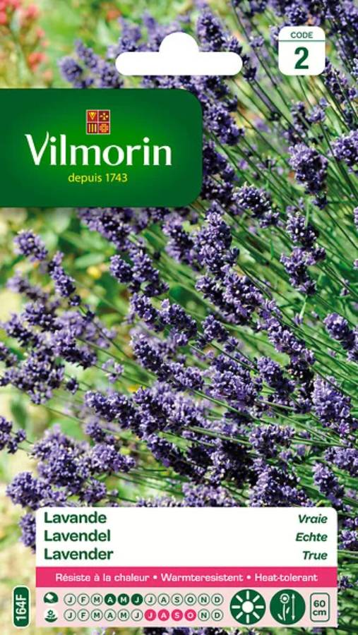 Vilmorin - Lavande Vraie serie 2 sachet graines 1,5 g - Vilmorin - Image 4