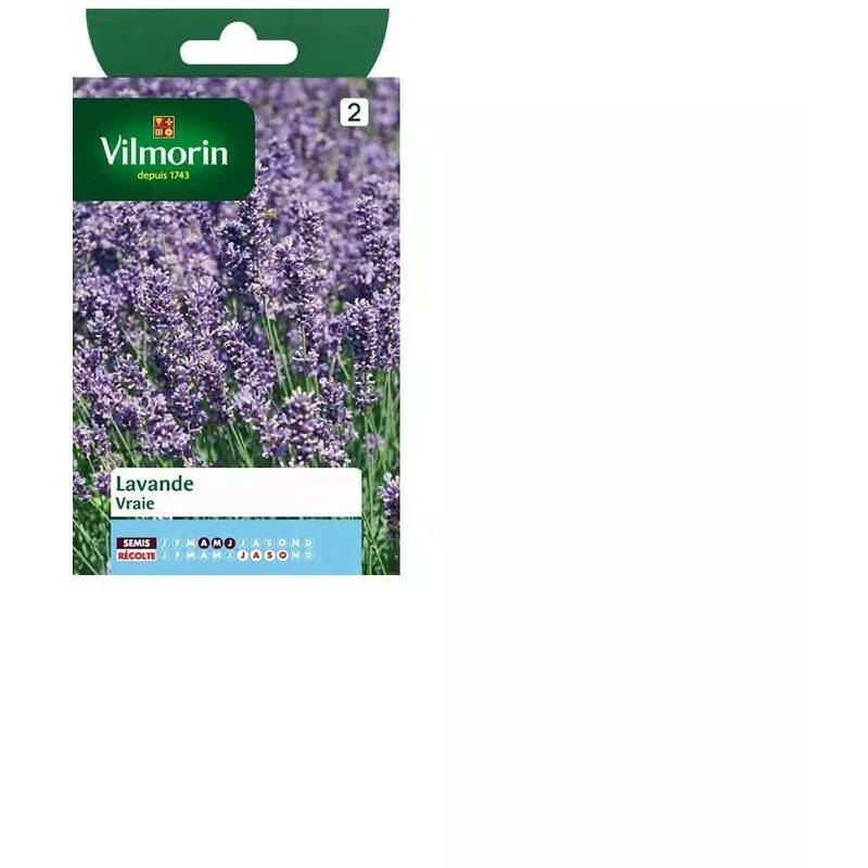 Vilmorin - Lavande Vraie serie 2 sachet graines 1,5 g - Vilmorin - Image 5
