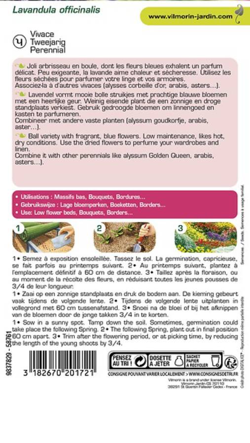 Vilmorin - Lavande Vraie serie 2 sachet graines 1,5 g - Vilmorin - Image 6