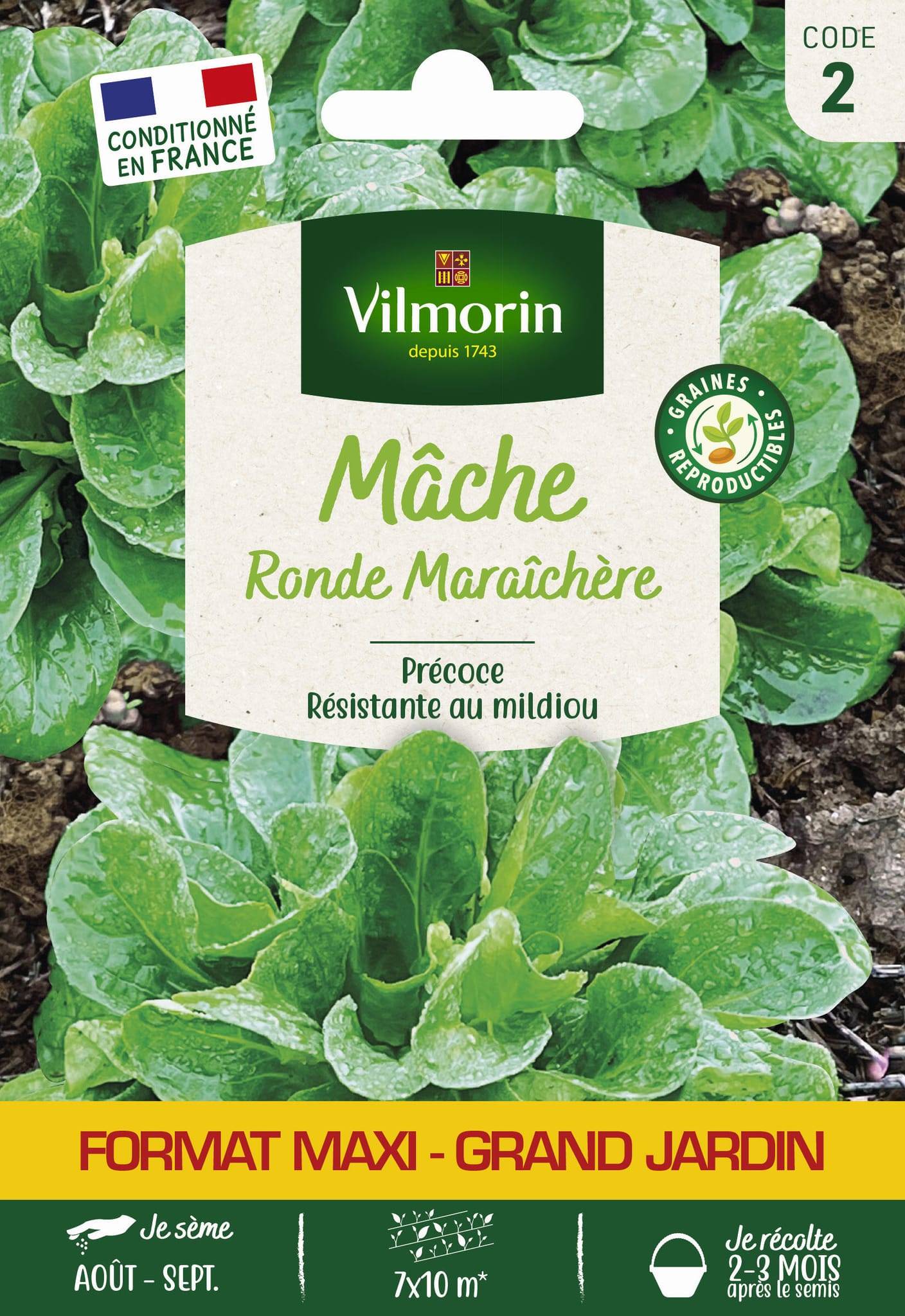 Vilmorin - Mâche ronde maraichère format éco série 2 sachet graines 9 g - Vilmorin - Image 2