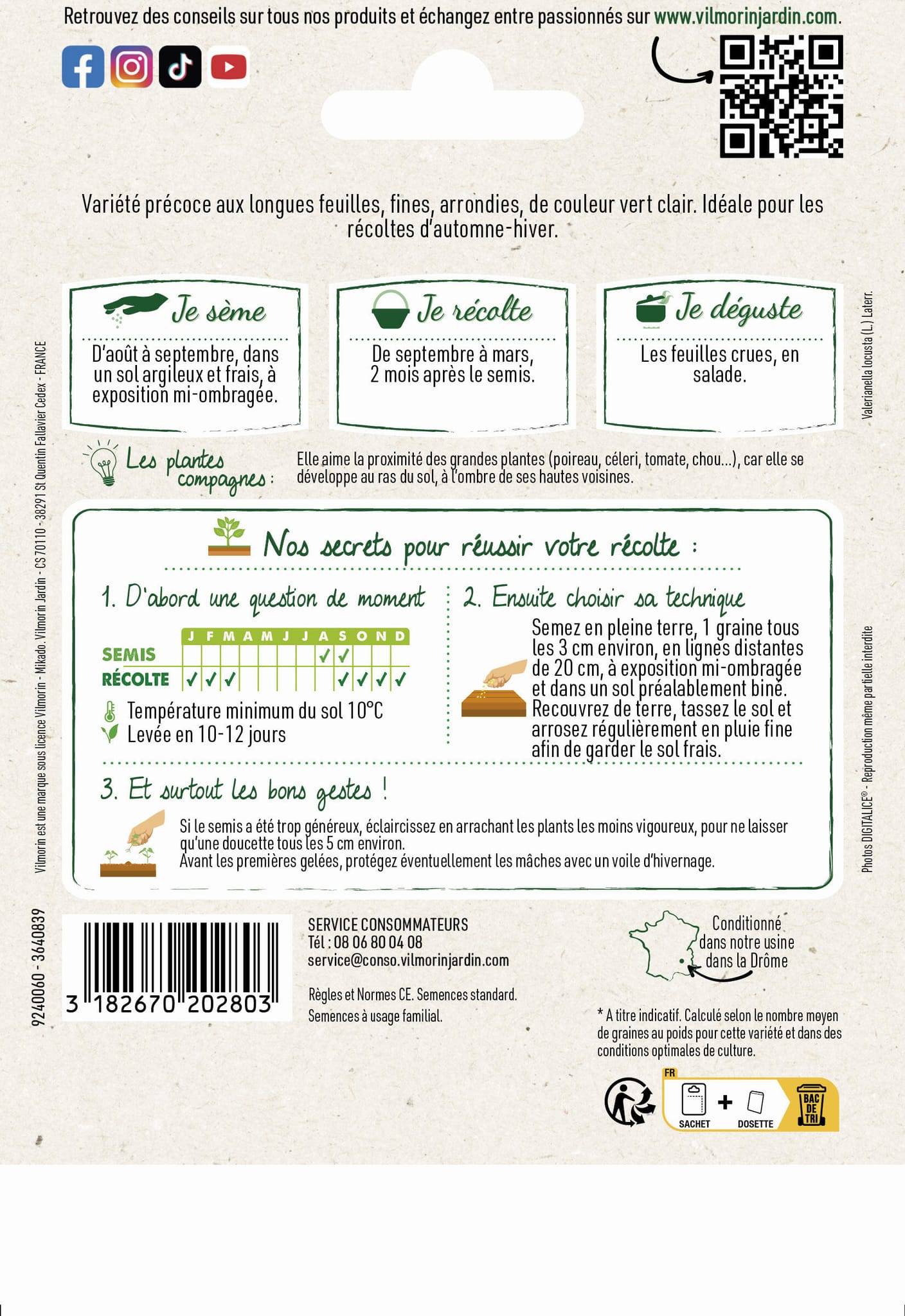Vilmorin - Mâche ronde maraichère format éco série 2 sachet graines 9 g - Vilmorin - Image 3