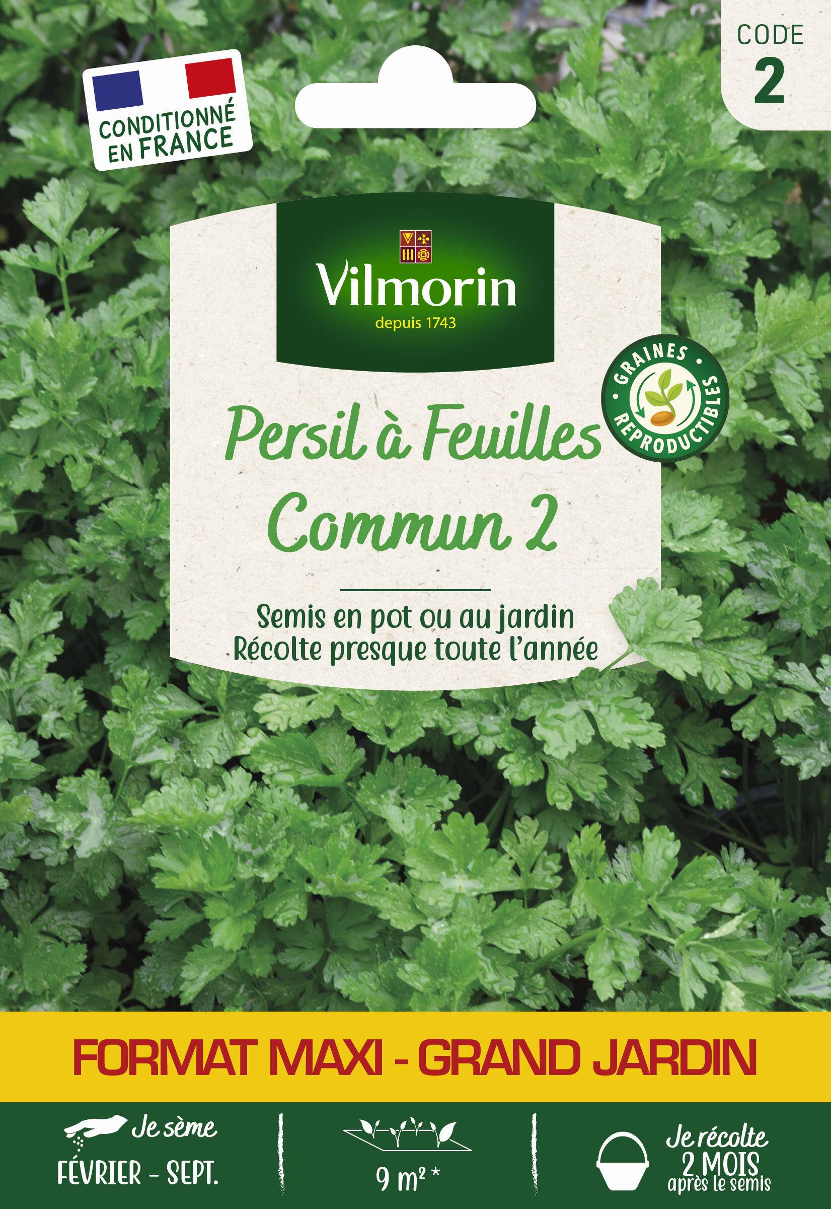 Vilmorin - Persil à feuilles commun 2 format éco série 2 sachet graines 15 g - Vilmorin - Image 1