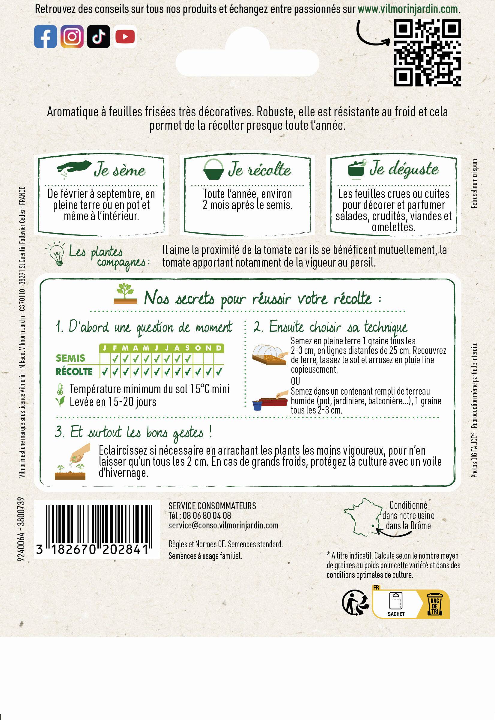 Vilmorin - Persil à feuilles frisé vert foncé format éco série 2 sachet graines 15 g - Vilmorin - Image 3