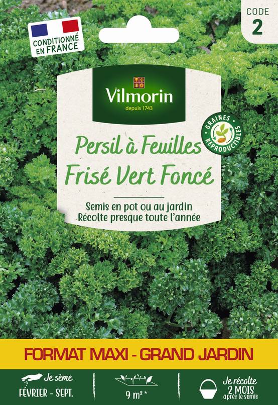 Vilmorin - Persil à feuilles frisé vert foncé format éco série 2 sachet graines 15 g - Vilmorin - Image 2