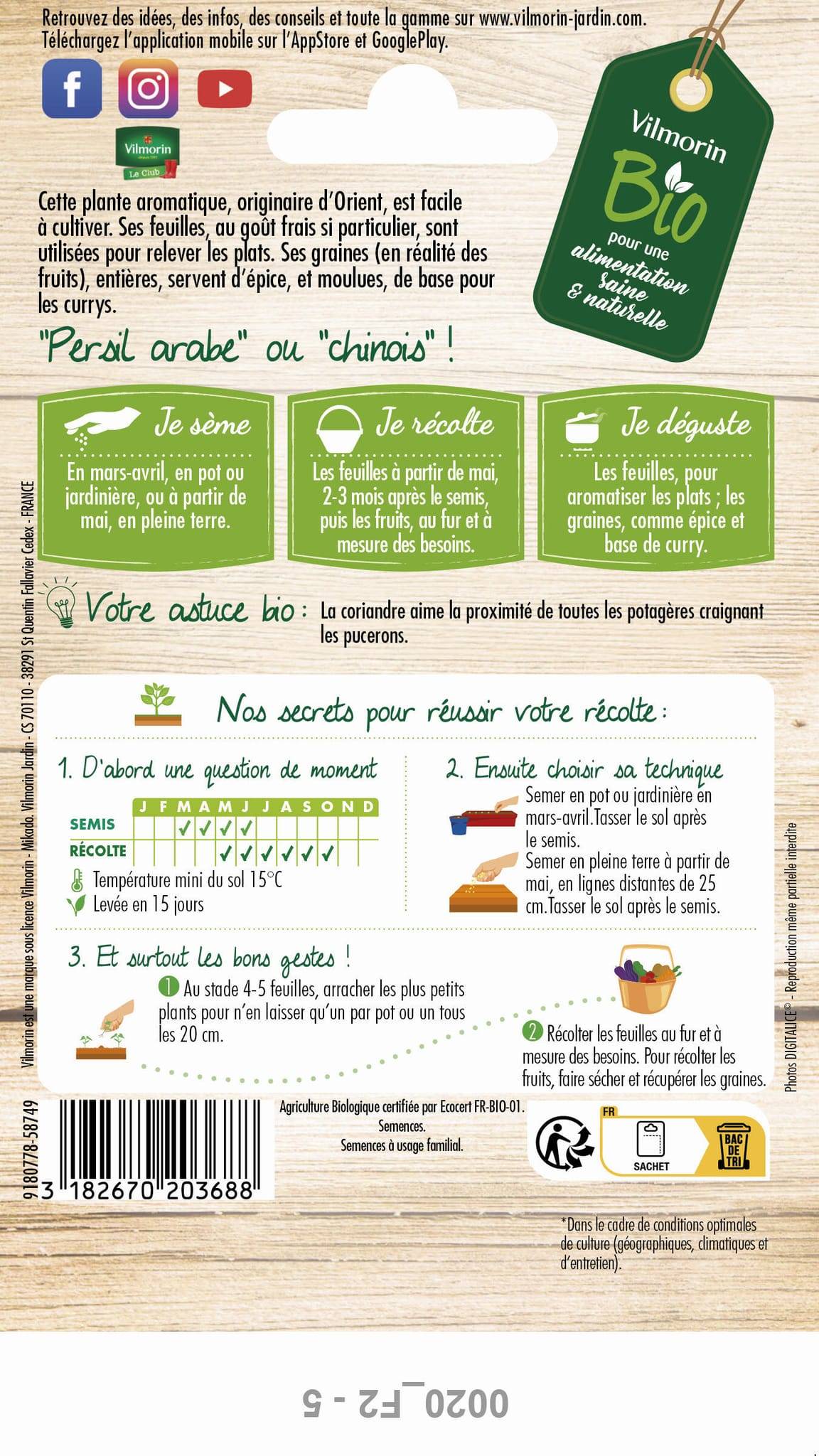Vilmorin - Coriandre Bio série 2 sachet graines 0,5 g - Vilmorin - Image 3