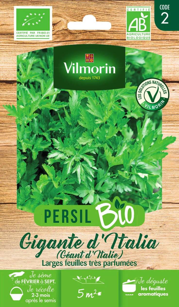 Vilmorin - Persil à feuilles géant d'Italie Bio série 2 sachet graines 5 g - Vilmorin - Image 2