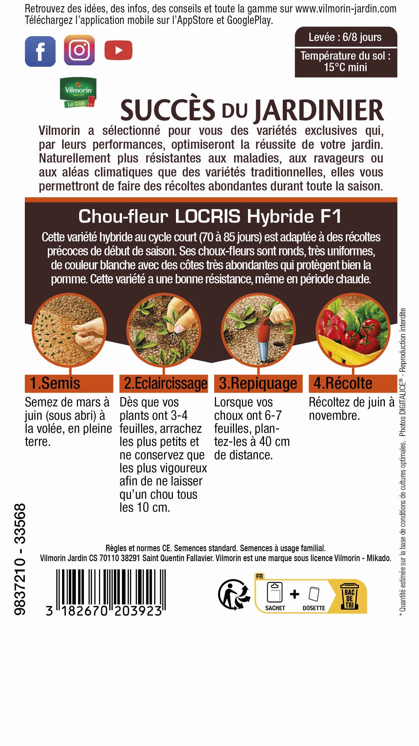Vilmorin - Chou-Fleur Locris HF1 serie 3 sachet graines 0,5 g - Vilmorin - Image 3