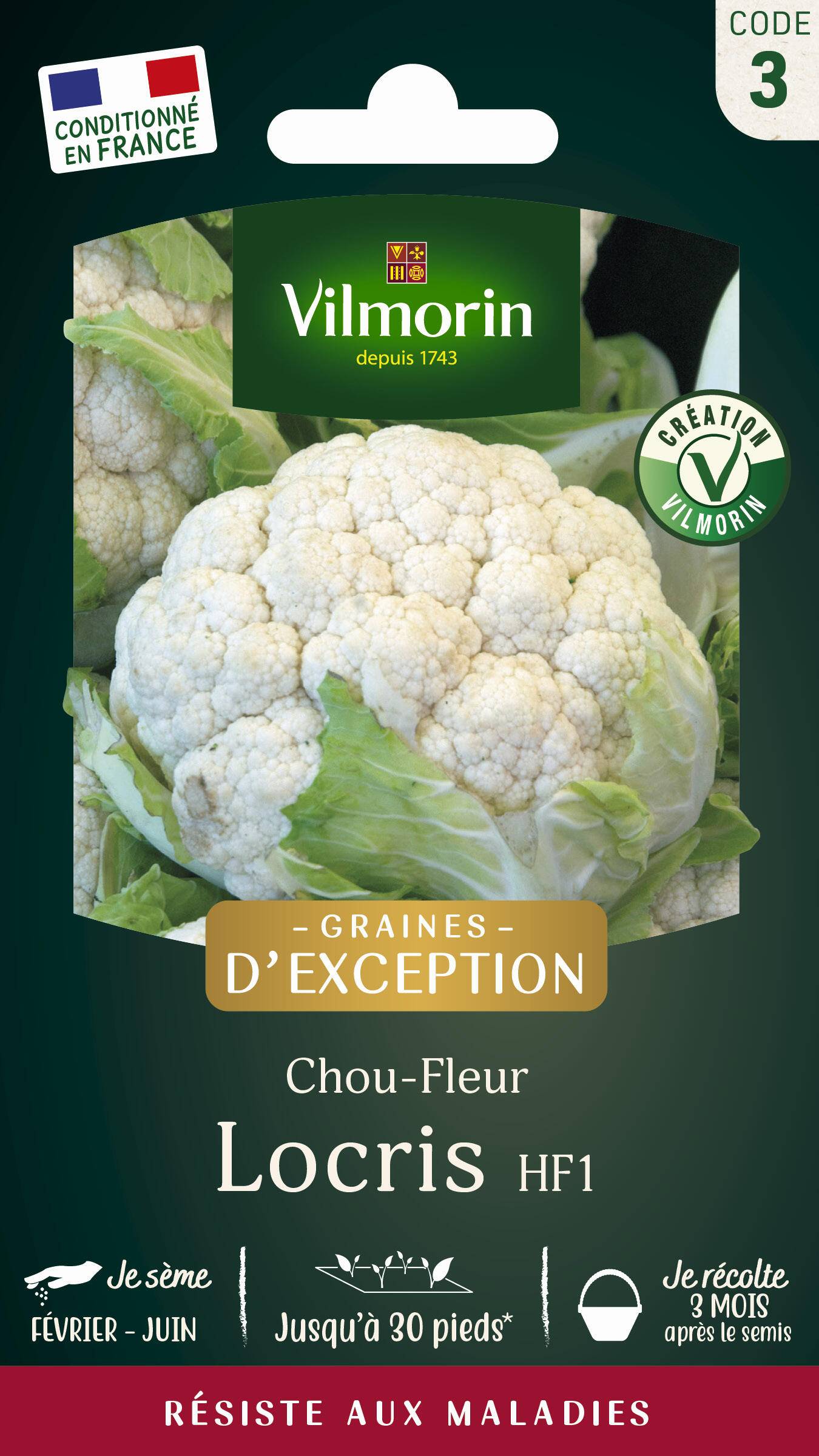 Vilmorin - Chou-Fleur Locris HF1 serie 3 sachet graines 0,5 g - Vilmorin - Image 2