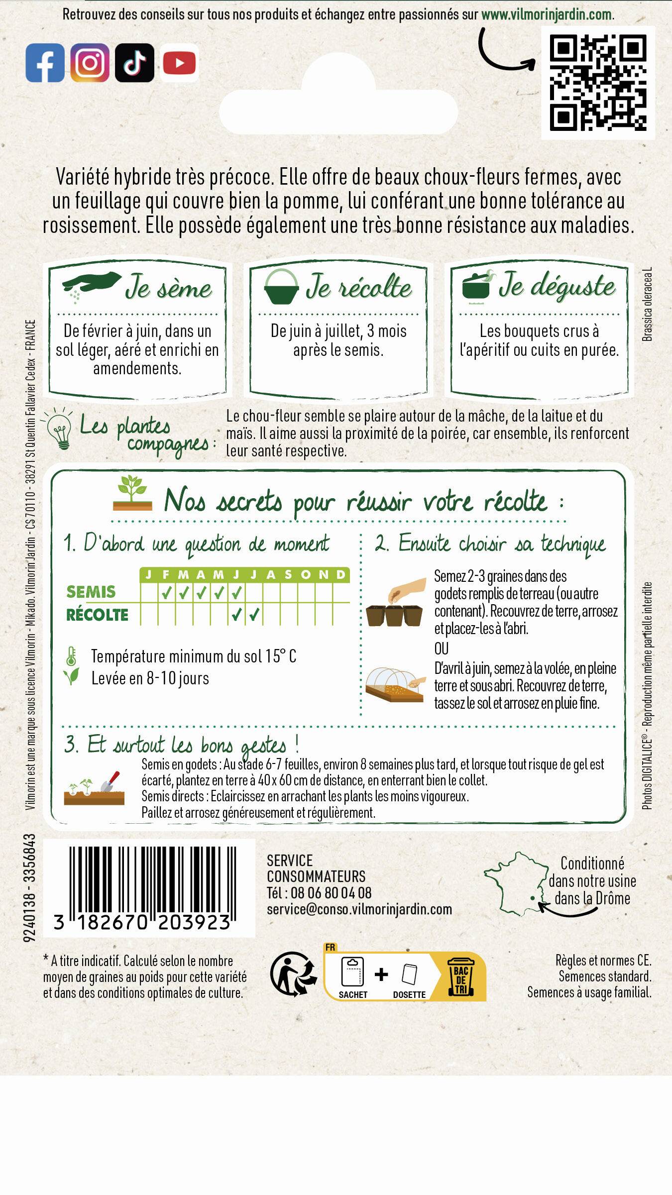 Vilmorin - Chou-Fleur Locris HF1 serie 3 sachet graines 0,5 g - Vilmorin - Image 4