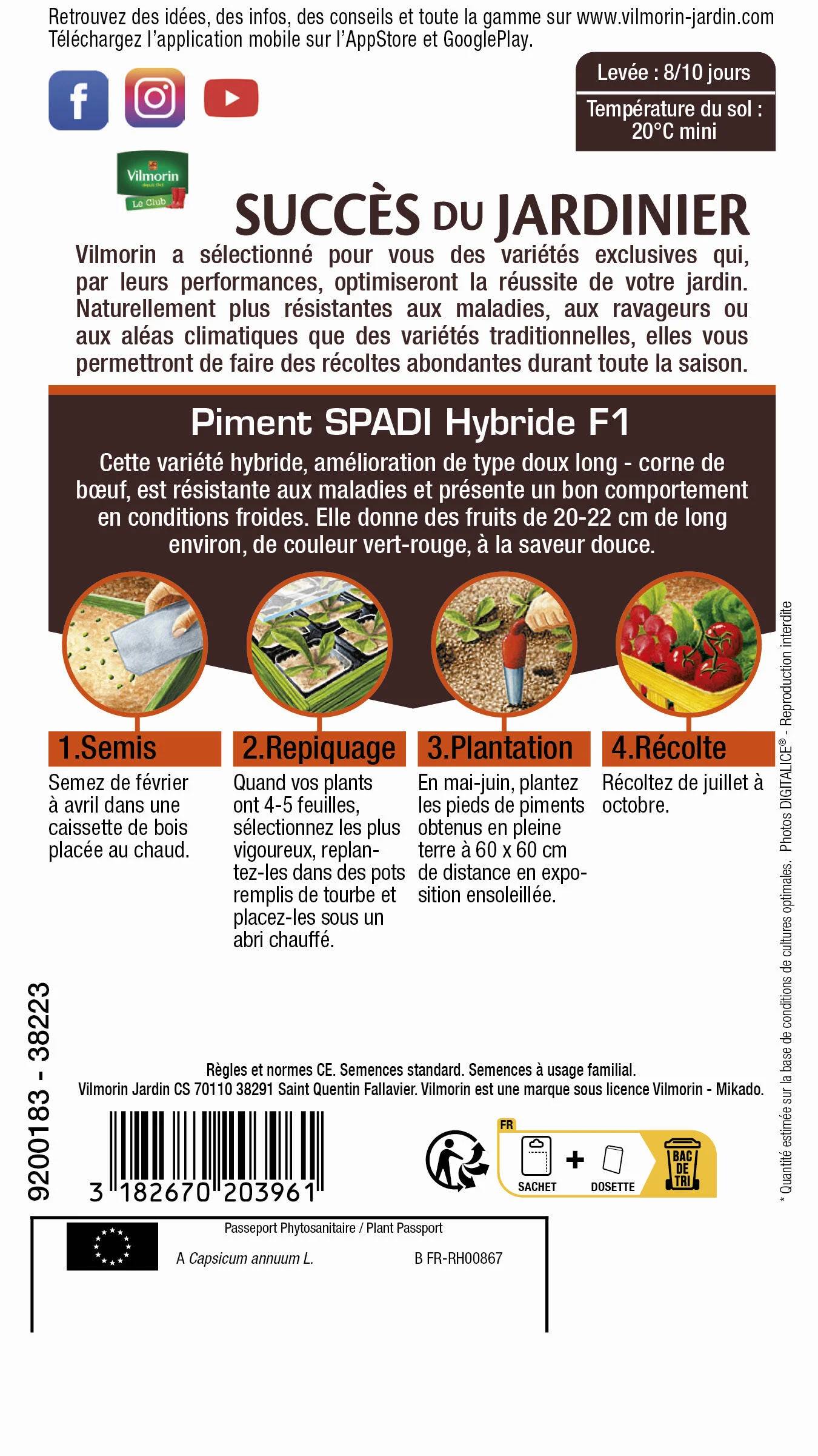 Vilmorin - Poivron doux Spadi hf1 création succès du jardinier série 3 sachet graines 0,3 g - Vilmorin - Image 3
