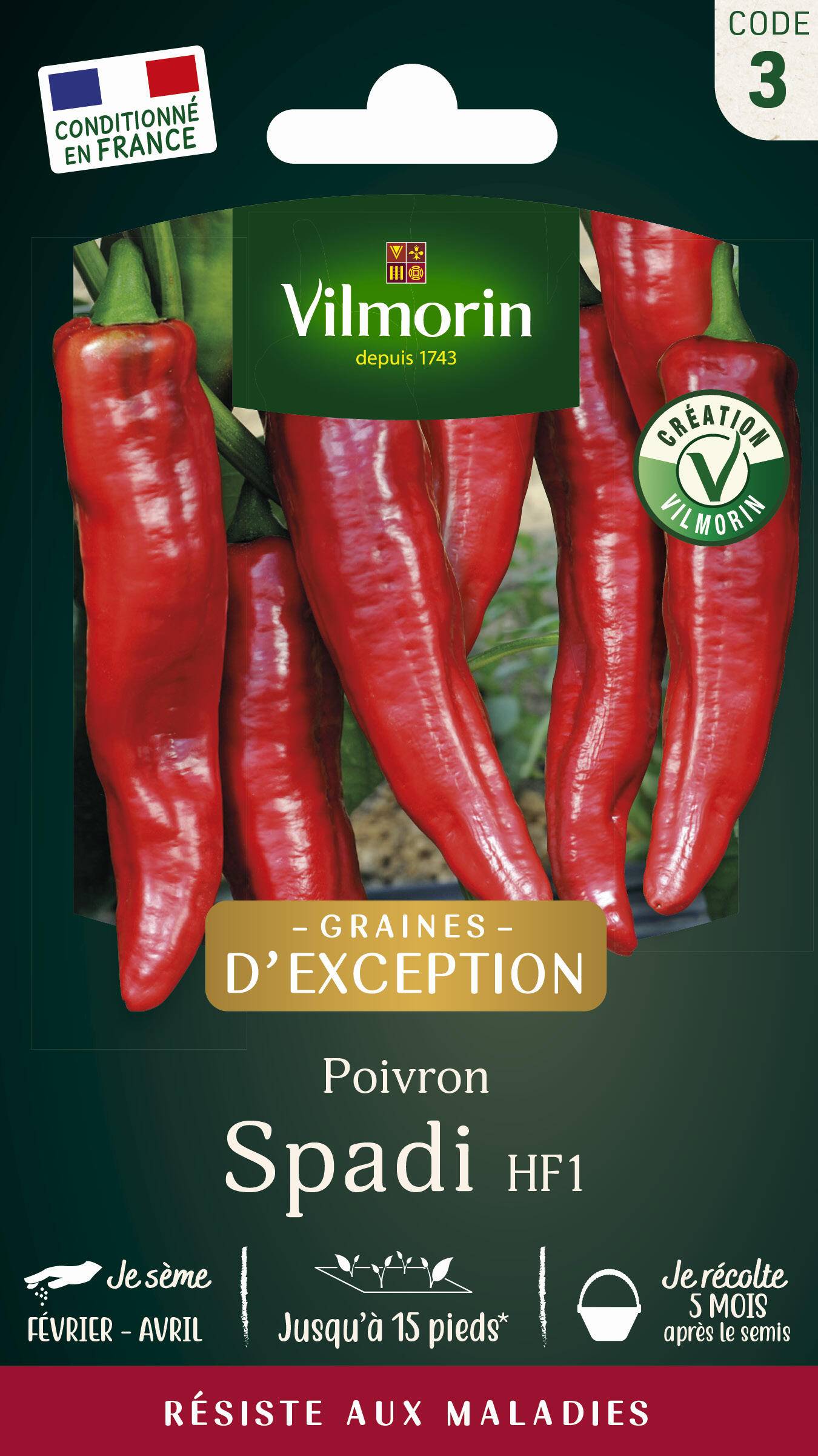Vilmorin - Poivron doux Spadi hf1 création succès du jardinier série 3 sachet graines 0,3 g - Vilmorin - Image 2