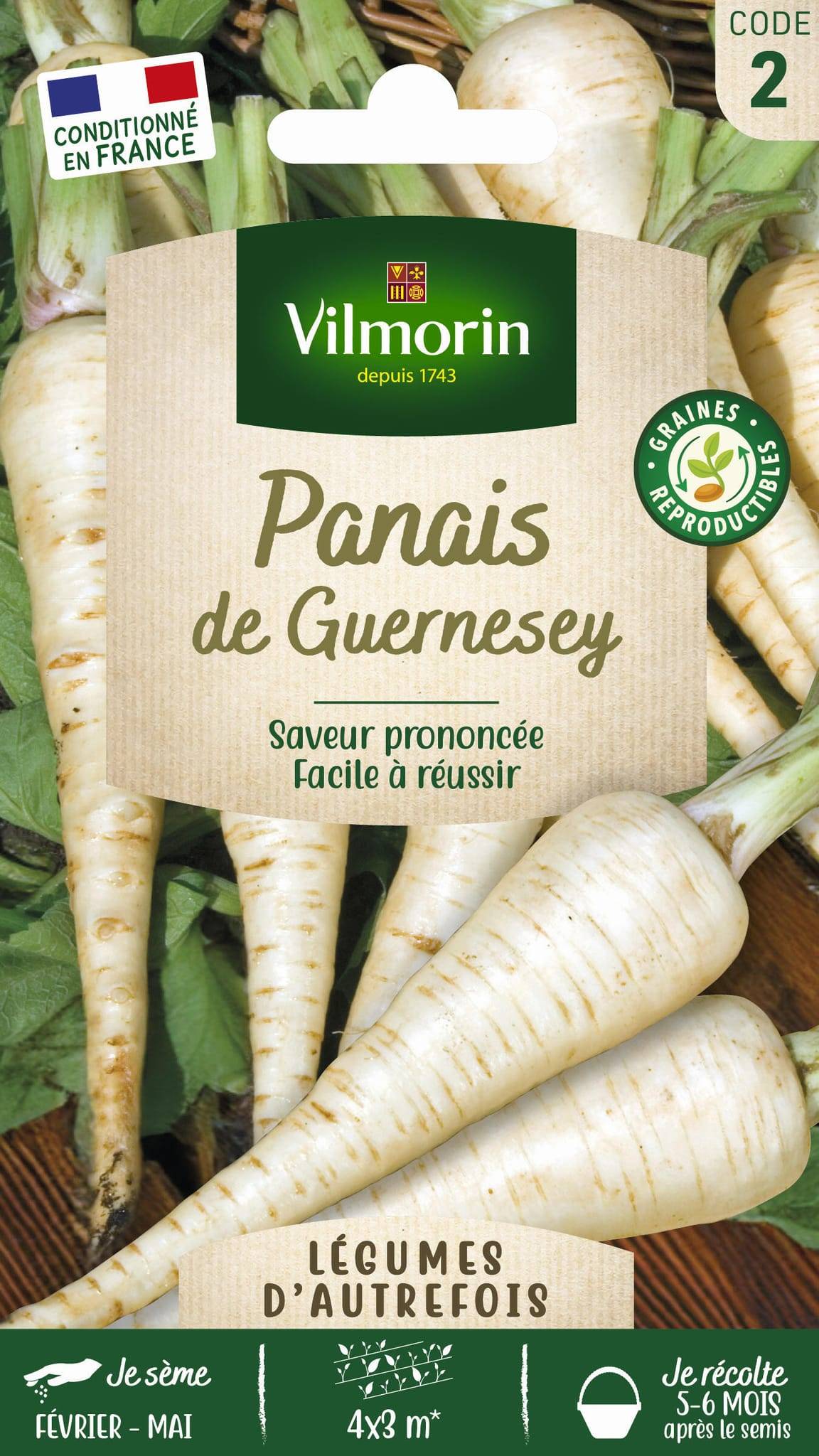Vilmorin - Panais de Guernesey série 2 sachet graines 9 g - Vilmorin - Image 1
