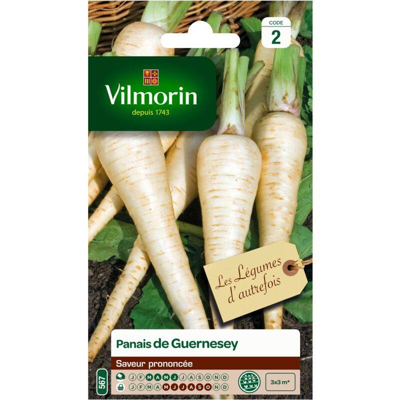 Vilmorin - Panais de Guernesey série 2 sachet graines 9 g - Vilmorin - Image 3