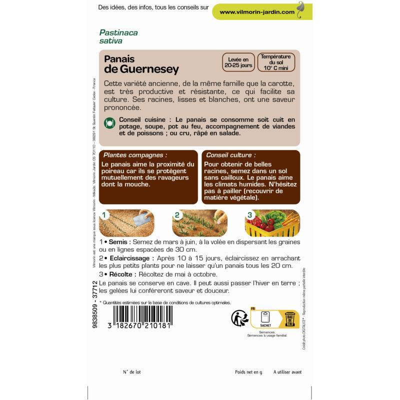 Vilmorin - Panais de Guernesey série 2 sachet graines 9 g - Vilmorin - Image 4