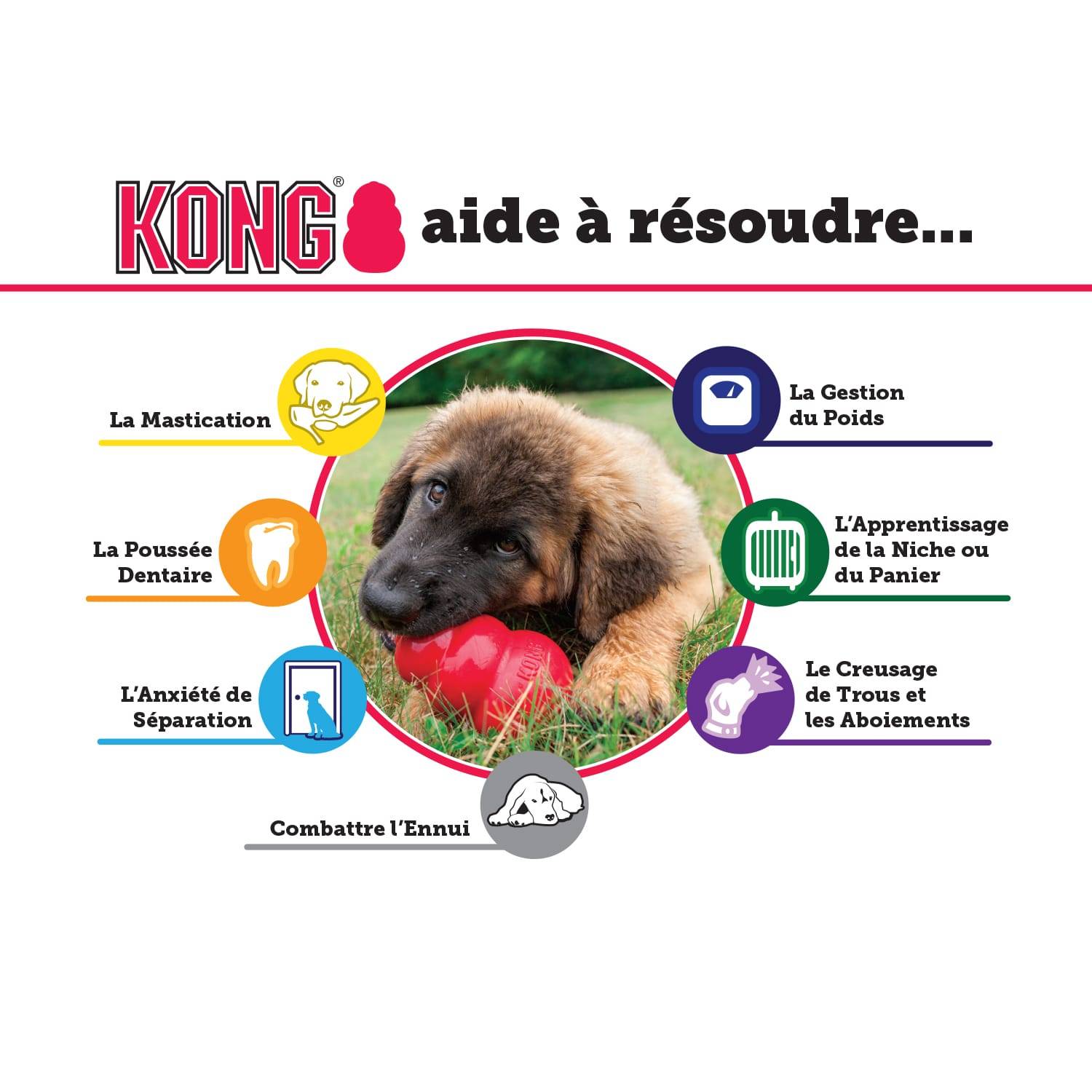 KONG - KONG® Classic Small - Image 10