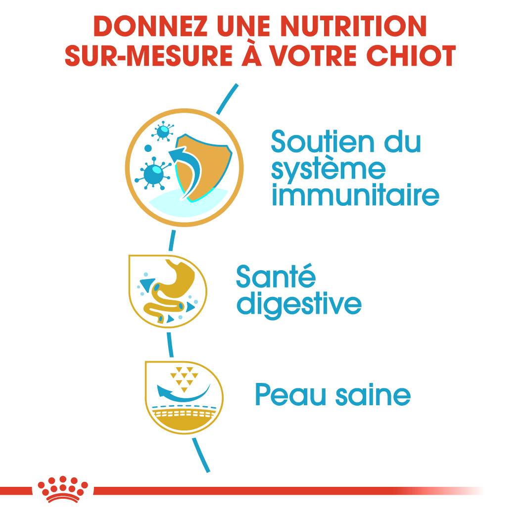 Royal Canin - Croquettes Chien Bouledogue Français - ROYAL CANIN - Image 2