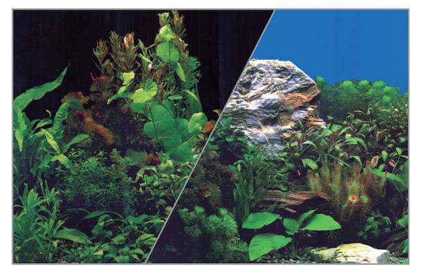 Zolux - Poster fond décor noir/plantes H30 L40 – ZOLUX - Image 2
