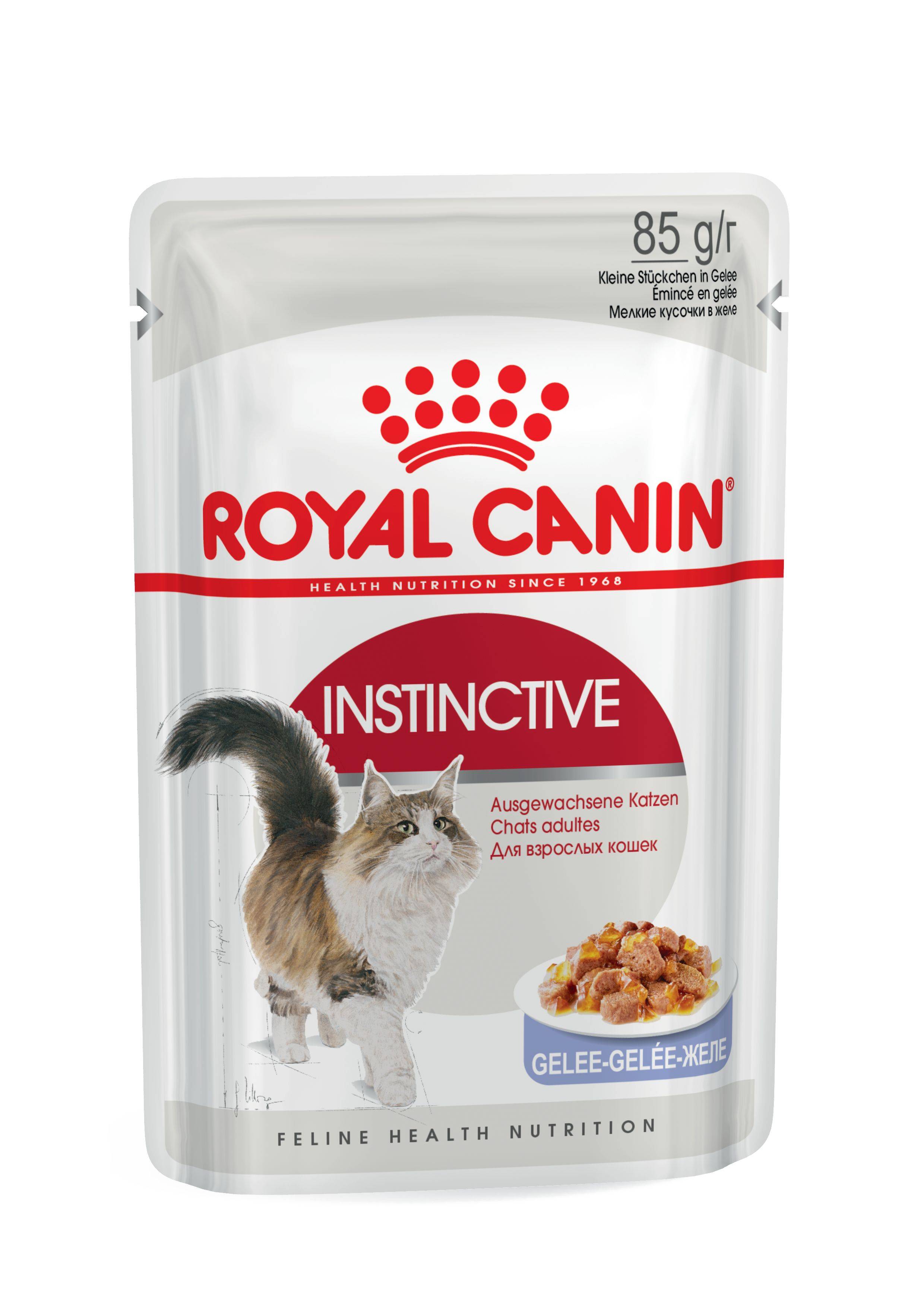 Royal Canin - Royal Canin - Gelée Instinctive pour chat 85 g - Image 2
