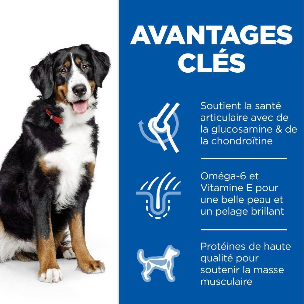 Science plan - Croquettes Chien Adulte Large Breed Poulet – HILL'S - Image 2