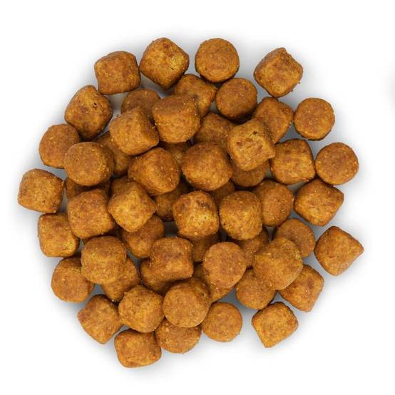 Science plan - Croquettes Chien Adulte Large Breed Poulet – HILL'S - Image 10