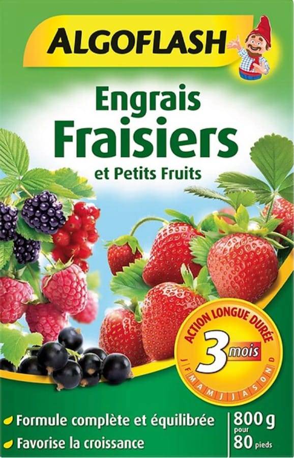 Algoflash - Semence gazon regarnissage express 5 jours – ALGOFLASH