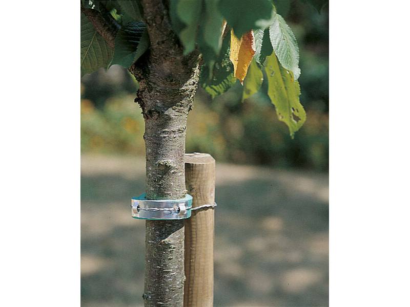 Nortène - Collier mousse vert 60 cm – NORTENE - Imagen 1