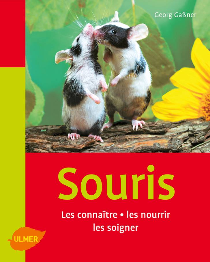 Ulmer - Les Souris