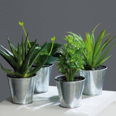 DPI - Petite agave-succulente artificielle en pot