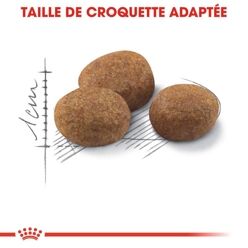Royal Canin - Croquettes Chat Sterilised 7+ - ROYAL CANIN - Image 6