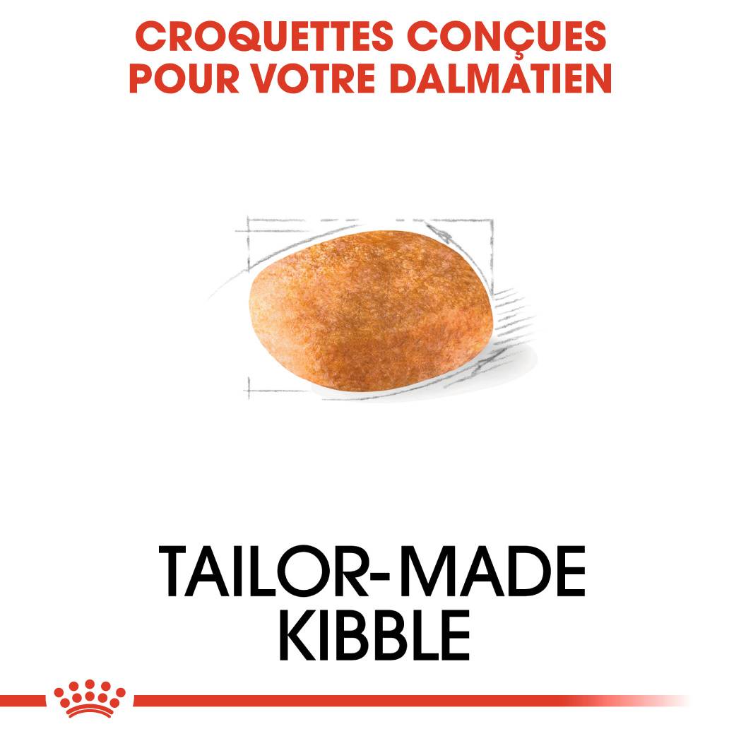 Royal Canin - Croquettes chien Dalmatian adulte 12 kg - ROYAL CANIN - Image 2