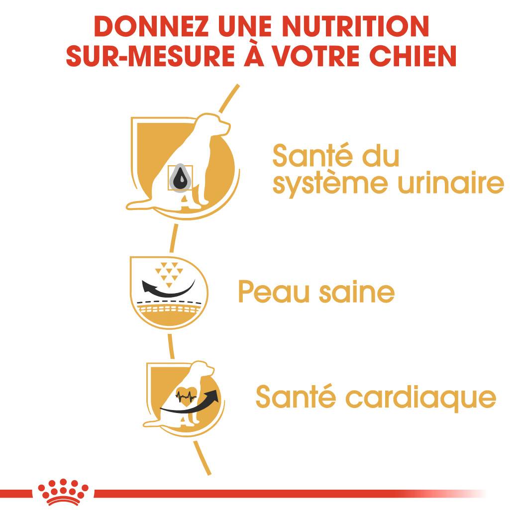Royal Canin - Croquettes chien Dalmatian adulte 12 kg - ROYAL CANIN - Image 3