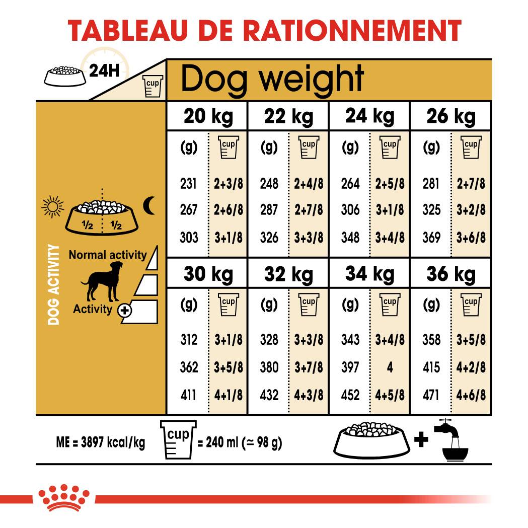Royal Canin - Croquettes chien Dalmatian adulte 12 kg - ROYAL CANIN - Image 4