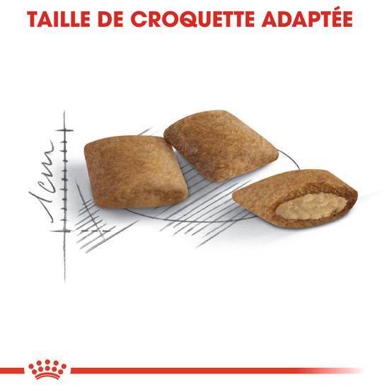 Royal Canin - Croquettes Chat Senior 12 ans+ - ROYAL CANIN - Image 4