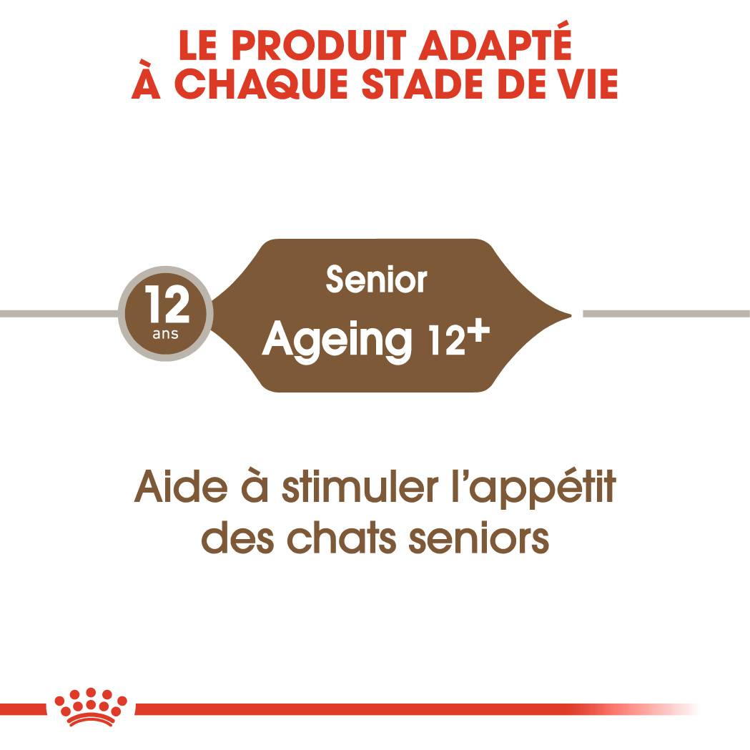 Royal Canin - Croquettes Chat Senior 12 ans+ - ROYAL CANIN - Image 8