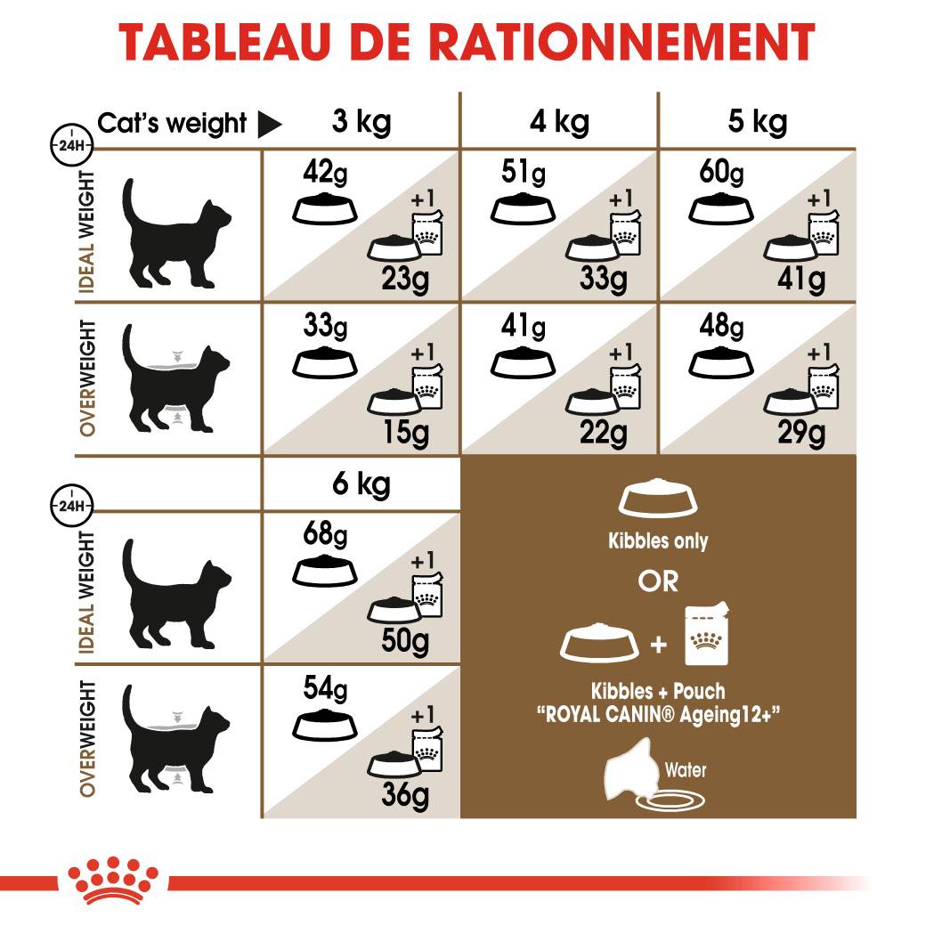 Royal Canin - Croquettes Chat Senior 12 ans+ - ROYAL CANIN - Image 5