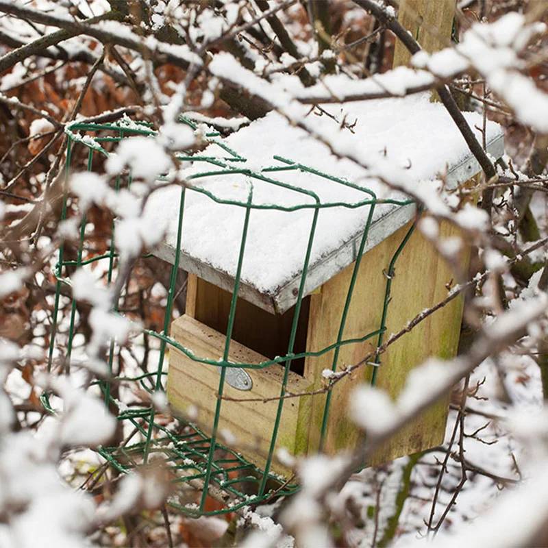 Best For Birds - Nichoir Rouge-Gorge Bois de Pin Toit Zinc – Aucun - Imagen 4
