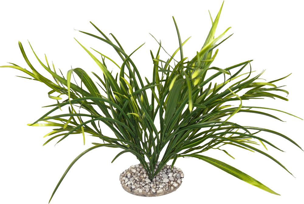 Labéo - Fond de décor N° 3 - H. 36 cm - Labéo