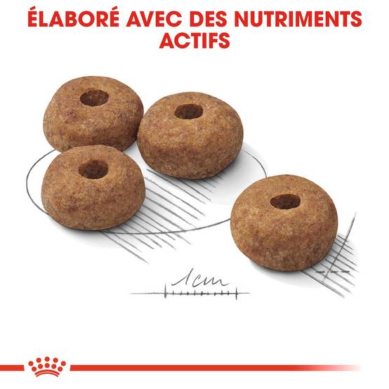 Royal Canin - Croquettes chien Medium Sterilised ROYAL CANIN - Image 4