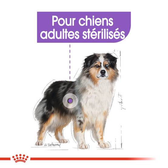 Royal Canin - Croquettes chien Medium Sterilised ROYAL CANIN - Image 8